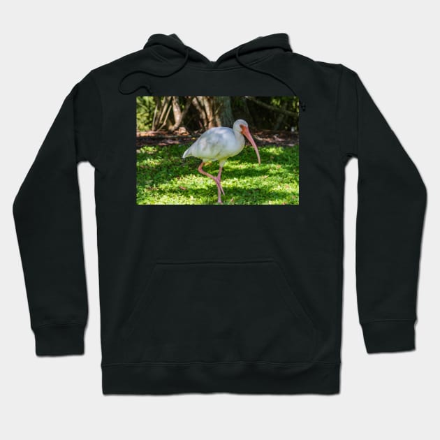 Hopping White Ibis Hoodie by KensLensDesigns